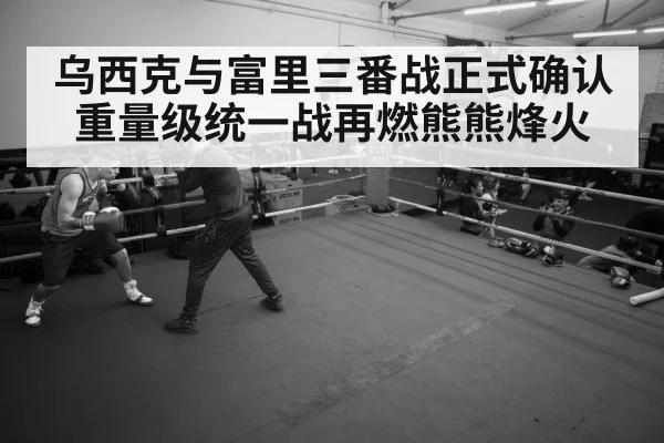 boxer training session