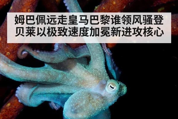 姆巴佩远走皇马巴黎谁领风骚登贝莱以极致速度加冕新进攻核心