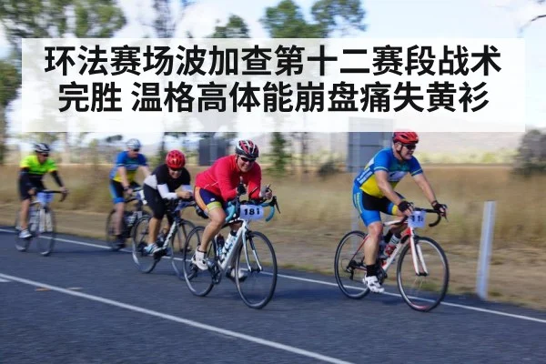 环法赛场波加查第十二赛段战术完胜 温格高体能崩盘痛失黄衫